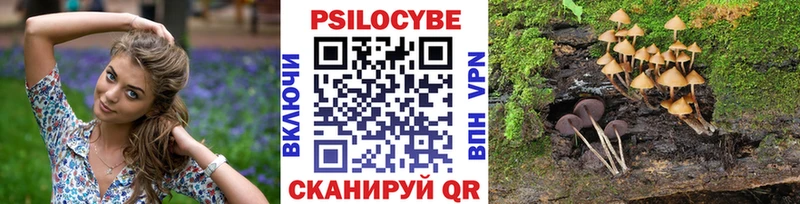 Галлюциногенные грибы Psilocybine cubensis  blacksprut сайт  Шуя 